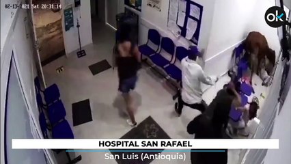 Una vaca se cuela en las urgencias de un hospital de Colombia y deja varios heridos