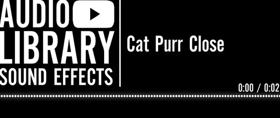 Cat Purr Close - Free Sound Effects