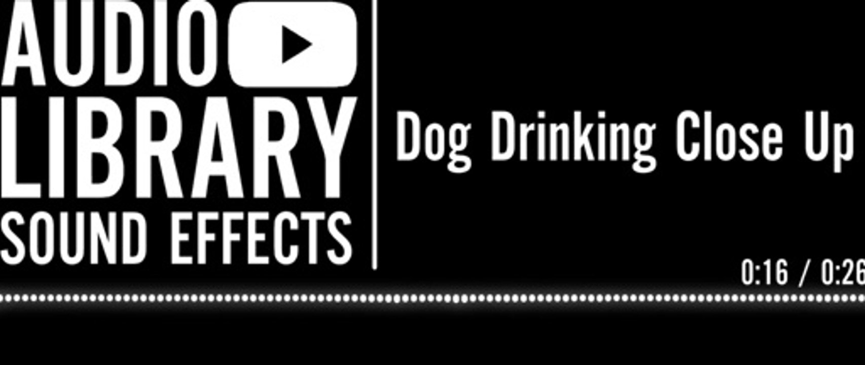 Dog Drinking Close Up - Free Sound Effects