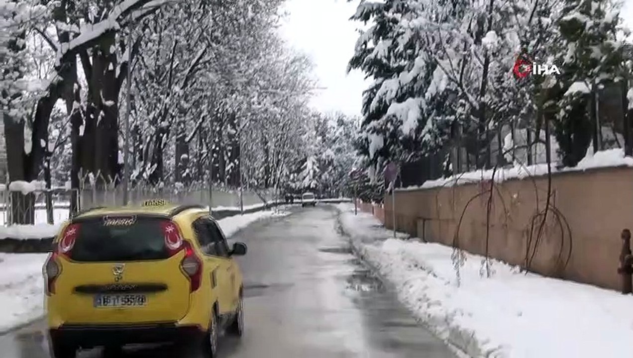 Kar yağışına dayanamayan ağaçlar kırıldı