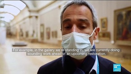 The Louvre museum's artwork undergoes major renovations during lockdown
