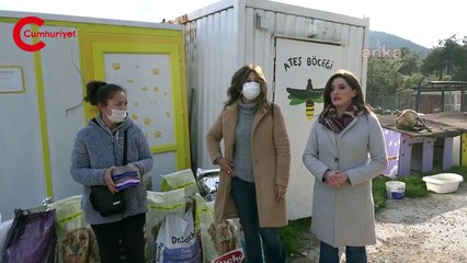 'Camide Çav Bella' hakaretleri sokak hayvanlarına mama oldu