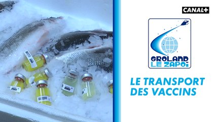 Le transport des vaccins - Groland - CANAL+