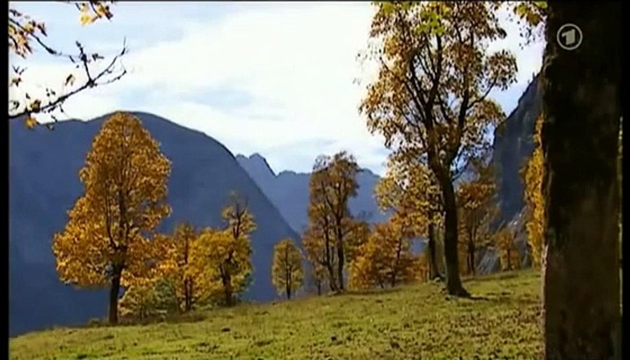 Sturm der Liebe, Folge 744 3/5