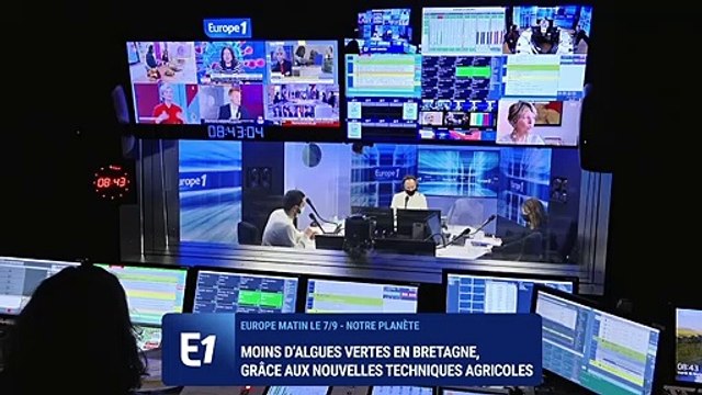 Les marées vertes ont reculé en Bretagne en 2020