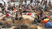 Worship time along the Ganges, as millions gather for Kumbh fair