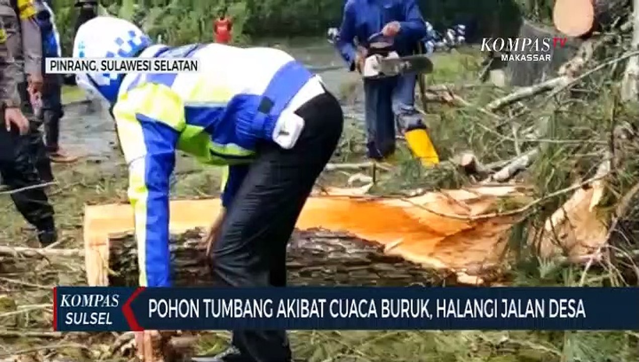 Pohon Tumbang Akibat Cuaca Buruk, Halangi Jalan...
