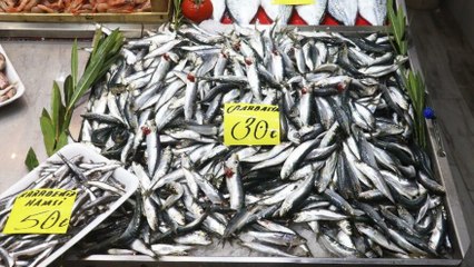 Kar ve fırtına balık tezgahlarını vurdu