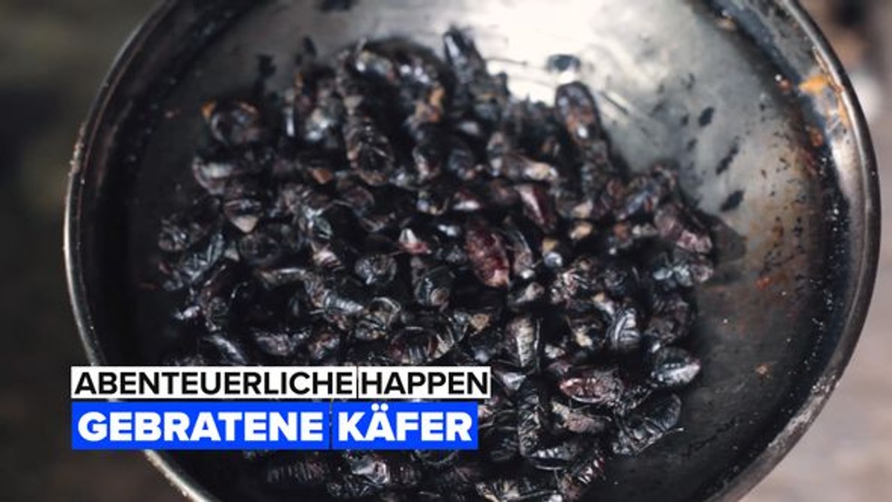 Abenteuerliche happen: käfer