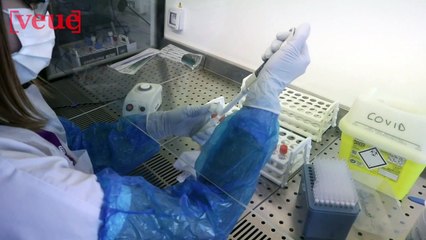 North Korean Hackers Tried to Steal the Pfizer Vaccine Information