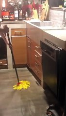 Η Νατάσα Καλογρίδη ξεσπά: «Στην πυρά τα καθάρματα»