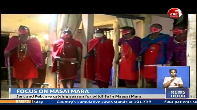 Magical Scenes: Maasai Mara National Reserve in Kenya