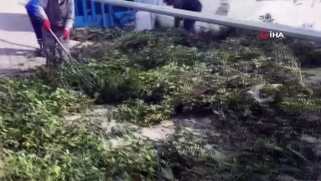 Bodrum’daki fırtına balıkçı teknelerini batırdı, dalgaların boyu 2 metreyi aştı