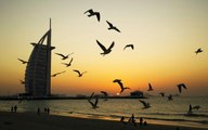 في دبي.. غروب الشمس الأجمل في العالم!