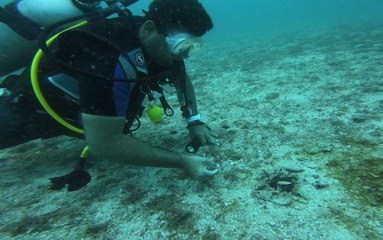 رحلة غوص في أعماق الفجيرة - صالح الظهوري