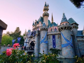 ما هي الأشياء المحظورة عند زيارة ديزني لاند