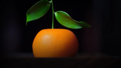 مذاق من القرون الوسطى