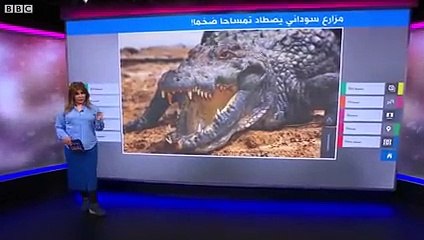 مزارع سوداني يصطاد تمساحا ضخما أرعب سكان ولاية نهر النيل والتهم شخصين