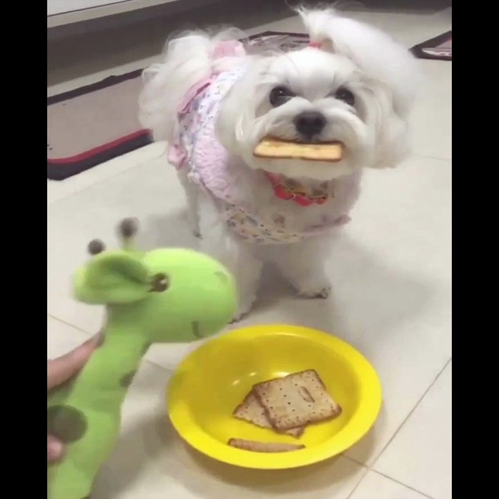 Sağlık için en iyisi