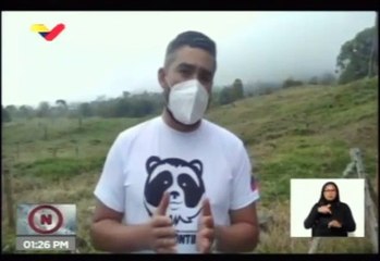 Organizaciones ambientalistas protegen al Oso Frontino en Mérida