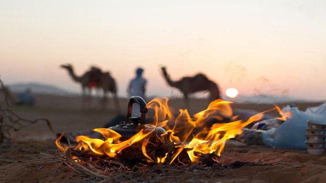 تراث إماراتي على قائمة اليونسكو