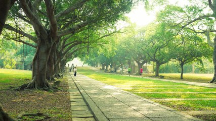 أكبر حديقة في دبي