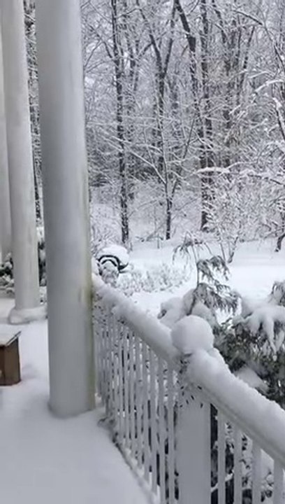U.S.A Winter Climate