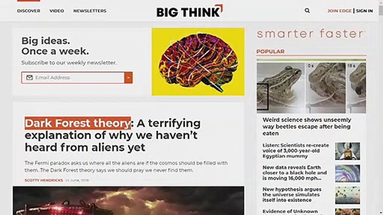 BIG(brain)THINK