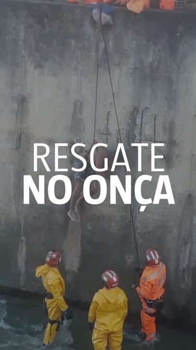 Resgate no Onça