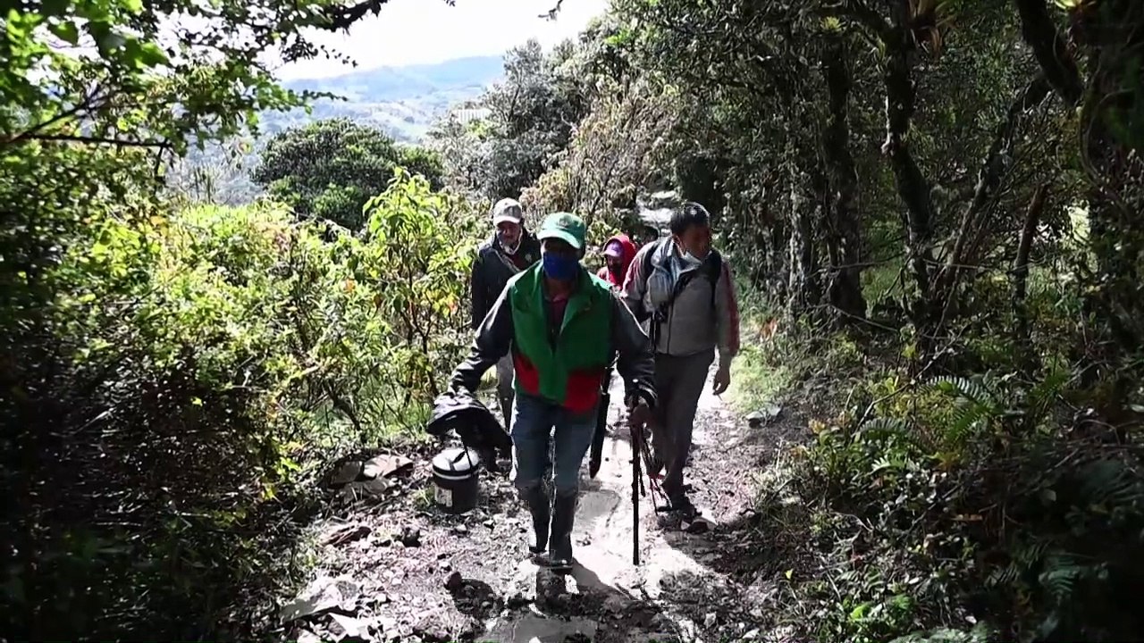 Científicos e indígenas, la alianza para salvar a los cóndores de Colombia