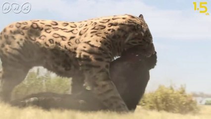 Creatures, 50,000 years ago Part2