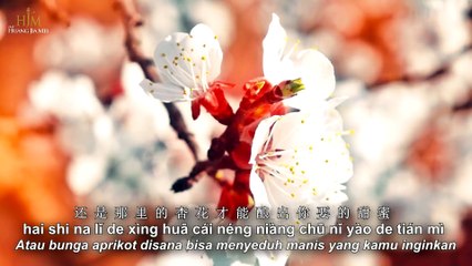 可可托海的牧羊人（黄家美 Desy Huang）