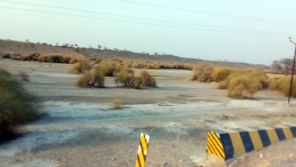 Talchaper churu rajasthan \\ national  black dear park