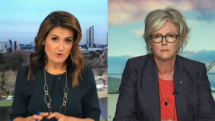 Brittany Higgins claims she was refused access to CCTV