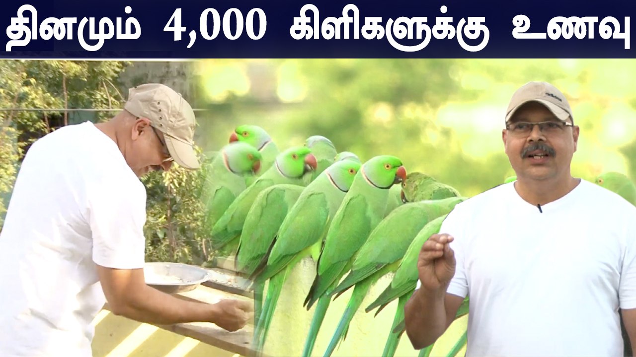 சென்னையில் இப்படி ஒரு இடமா..? தினமும் 4,000 பச்...