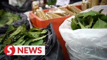 Cops cripple ketum ring, seizing 240kg of leaves and nabbing mastermind