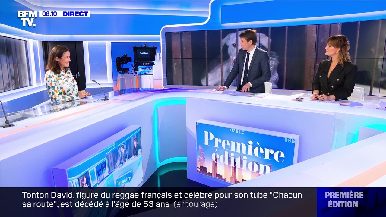 Des chiens bleus en Russie - 17/02