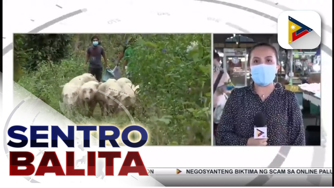 Nasa 2,000 buhay na baboy mula Mindanao, dumating na sa Metro Manila