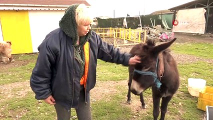 Sucuk olmaktan kurtardığı eşeğe gözü gibi bakıyor