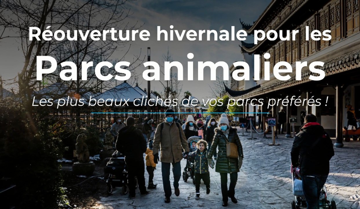 Les plus beaux clichés de vos parcs animaliers favoris cet hiver !