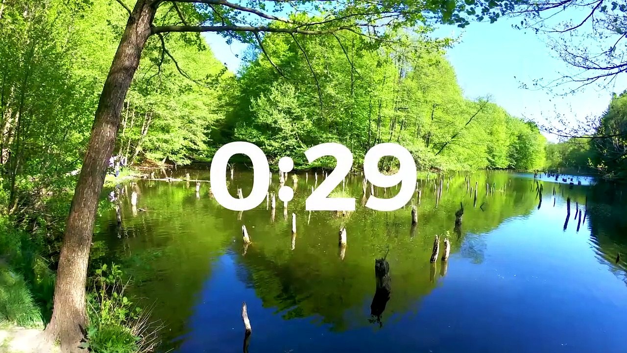 Die Virtuelle Kaffeetasse Ungarns vom 17.02.2021