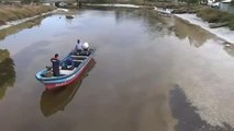 Miles de peces muertos se amontonan en un río de Chile