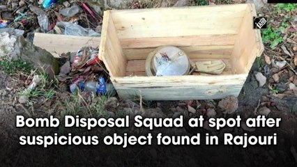 Bomb Disposal Squad at spot after suspicious object found in Rajouri