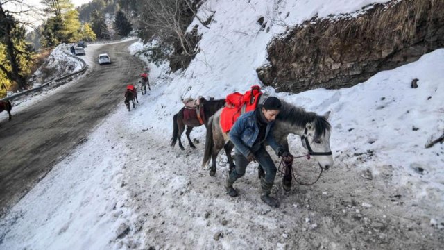 Himachal Pradesh: Shimla receives fresh snowfall