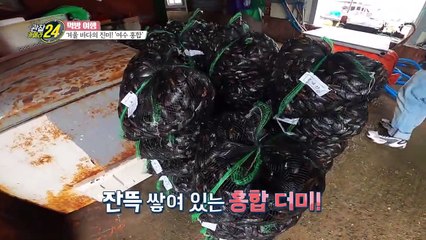 겨울철 전국구 인기스타★ 겨울 바다의 진미 '여수 홍합'