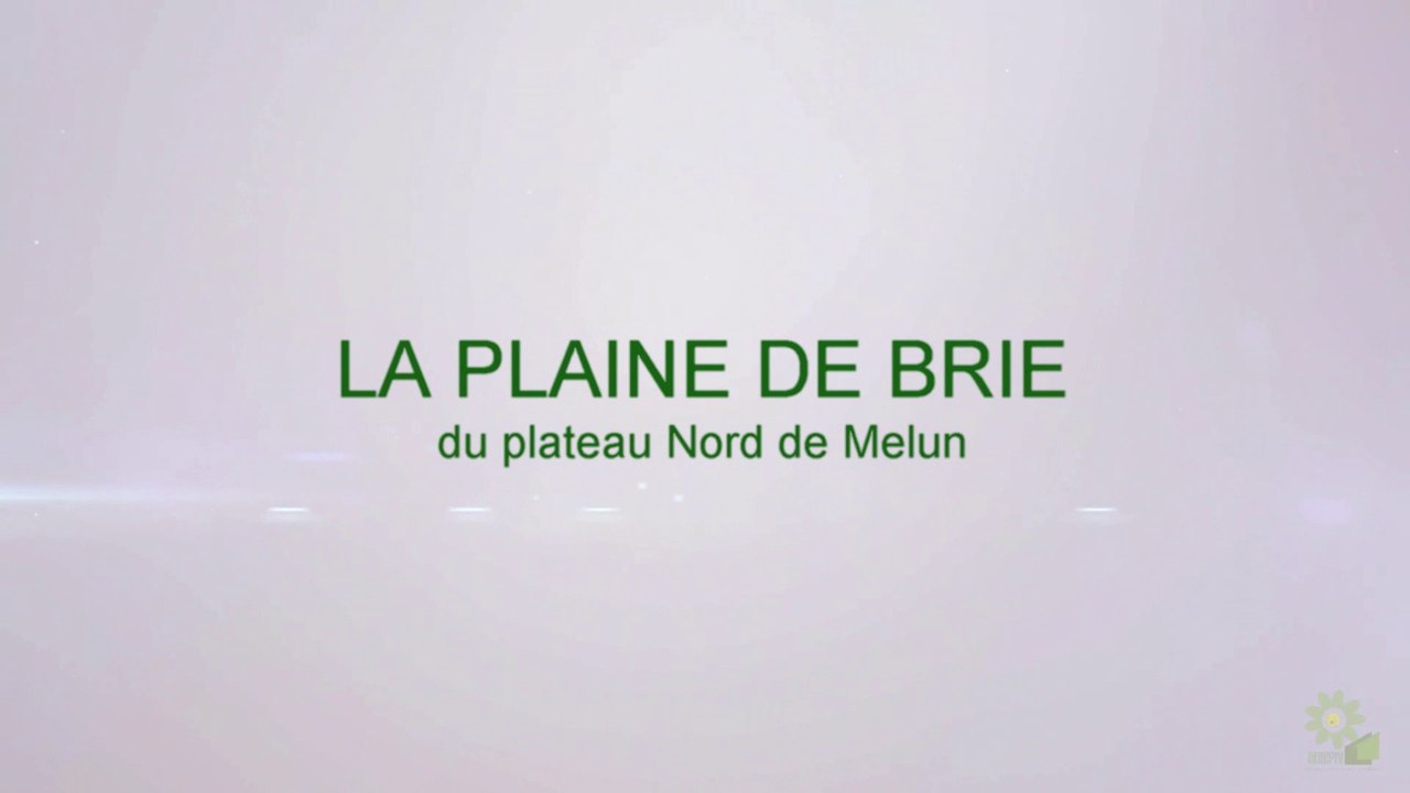 la brie souillée par pneus3.movie