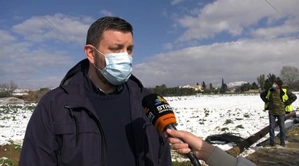 Συνεργεία της ΔΕΔΔΗΕ για αποκατάσταση βλαβών Εύβοια από Μήδεια