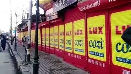 Srinagar shuts to protest visit of EU envoys