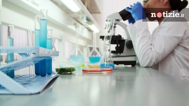 Coronavirus, nuova variante scoperta nel Regno Unito: isolata anche a Napoli