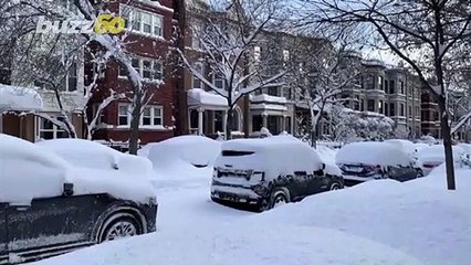 Watch This Adorable Polar Bear Play and Nap in Freshly Fallen Snow